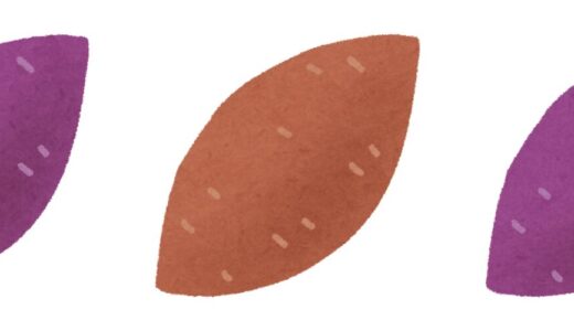 【2025年6月の家計簿】426,015円使用！