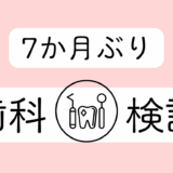 7ヶ月ぶりの歯科検診