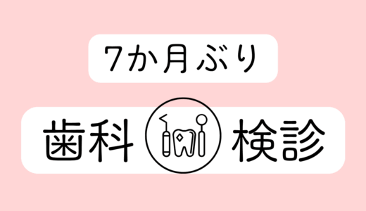 7ヶ月ぶりの歯科検診
